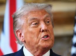 Little Witch: Historical Romance Novella (Evolution Series) (Volume 4)|Jill  Hughey.