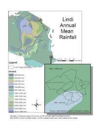 Image result for Pleioceras gilletii