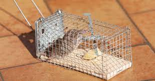We did not find results for: Annihilators Inc Of Maryland Ellicott City 410 465 1778