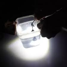 2pcs Boat Plug Light Green Led Lamp 3 4 Npt Marine Underwater Fish Garboard Myfriendsdentist Com