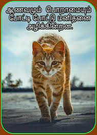 Pin By Sakthivelmammu On Msg Touching Quotes Animals Cats Tamil kavithai and love quotes. touching quotes animals cats