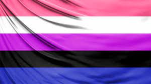 Un mundo dominado por pronombres y palabras que parecen pertenecerles a un solo género. Que Significa Ser Genderfluid O De Genero Fluido Homosensual