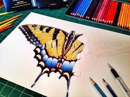 #art #drawing characteristic of the pin. More Progress On My Swallowtail Butterfly Colored Pencil Drawing Https Www Etsy Com Shop Timjef Pencil Drawings Pencil Drawing Tutorials Color Pencil Drawing