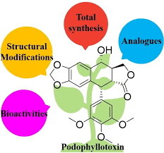 Image result for Podophyllotoxin