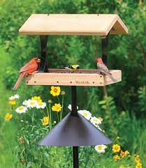 Squirrel Proof Platform Package With Twister Ground Socket Comedouros Para Passaros Casas De Passaros De Madeira Garrafeira De Vinho De Parede