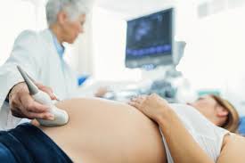 If a cat develops a fever during pregnancy antibiotics may prevent. Miscarriage Without Bleeding Symptoms And Diagnosis