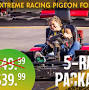 Extreme Karts from www.xtremeracingcenterpigeonforge.com