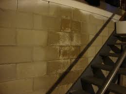 Dangers of a damp basement. Pin On Basement Waterproofing Diy Solutions Concrete Brick Masonry