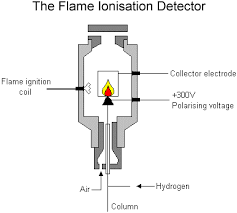 Gas Chromatography