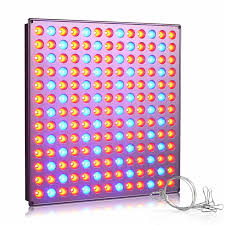 Best light spectrum for growing plants. The 7 Best Grow Lights Of 2021