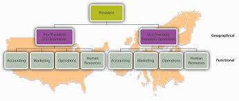 75 Explicit Diagram Of Organisational Chart