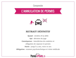 Code de la route + conduite, et pour 400€ 500€ de moins qu'ailleurs. Annulation De Permis Comment Retrouver Le Droit De Conduire