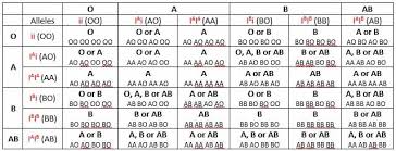 Blood Type Heredity Biology Dictionary