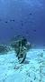 Video for Naivaadhoo Dive
