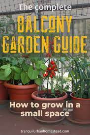 Balcony Garden Guide In 2020 Small Balcony Garden Garden Care Balcony Garden