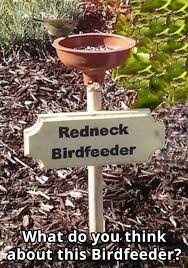 Bird With Red Neck Pin By Heather Blackwell On Yard And Outdoors Bird Houses Bird Feeders Wooden Bird Feeders