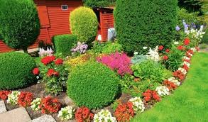 Anda sedang mencari keramik yang tepat untuk mempercantik rumah? Flowerbed 173 Foto Taman Bunga Yang Indah Di Halaman Sebuah Rumah Persendirian Susunan Bunga Dengan Hiasan Batu Hiasan Bunga Kawasan Berhampiran Rumah