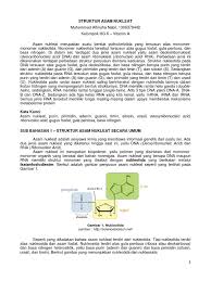 Gambar otak dan bagian bagiannyagambar otak dan fungsinya gambar otak dan bagian bagiannya otak manusia pada anatomi otak vertebrata otak depan prosencephalon forebrain adalah bagian atas dari otak. Gambar Struktur Dna Yang Memiliki 6 Nukleotida