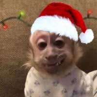 Alec Casper™ (@AlecTheAce)