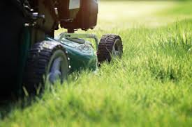 No matter whether you maintain your lawn yourself or hire a service, this is a good time to examine the best practices for growing healthy turfgrass. How To Properly Mow Your Lawn Heron Home Outdoor Lawn Care Services Lawn Weed Treatments Lawn Pest Control Lawn Health