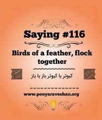 Birds Of A Feather Lyrics معجزه آموزشی زبان انگلیسی با رویکردی متفاوت آکادمی تخصصی پویا روشان با متد کاربردی و نه منسوخ شده به نام Cca بروز تری Home Decor Decals Bird Feathers Sayings