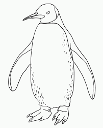 Alaska photography / getty images on the first saturday in march each year, people from all over the. Penguin Coloring Pages Coloring Kids Coloring Library