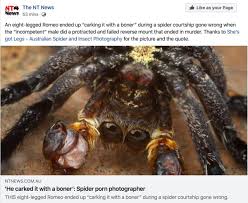 Caitlin Henderson (Shes got Legs) on X