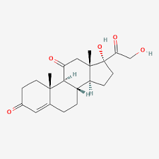 Image result for Cortisone