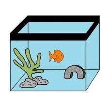 If the temperature of the water of your fish tank is below 65° f (18° c) then the beneficial bacteria will not grow in your fish tank. Goldfish Tank Decor Adding Decorations To Your Fish Tank