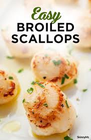 Easy Broiled Scallops Recipe Easy Scallop Recipes Scallop Recipes Scallop Recipes Healthy