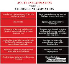 Difference Between Chronic Inflammation Pathophysiology Nursing Doctor Of Nursing Practice