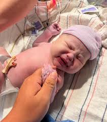 Beach buddies for life! Jackson soaking up the Miami sun and loving it!  ☀️🌊 @jessie.chao