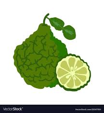 Bergamot With Slice Flat Design Bergamot Isolated On White Background Vector Illustration Download A Free Preview Or Flat Design Design Vector Illustration