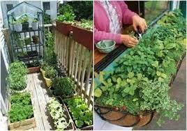 Huerta En La Terrasa Small Vegetable Gardens Small Balcony Garden Apartment Garden
