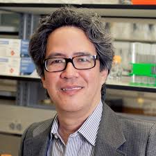 NYU Biology Faculty Directory