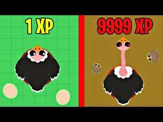 30 Agar Io Ideas Slitherio Dragon Skin Skin Images