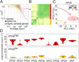 Unbiased Classification Of Mosquito Blood Cells By Single