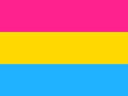 As a result, they are attracted to all genders. Pansexual Flag Wallpapers Wallpaper Cave