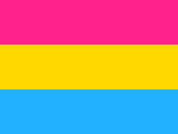Archive for all the pride flags. Pan Flag Wallpapers Top Free Pan Flag Backgrounds Wallpaperaccess