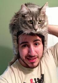 People Wearing Cats As Hats Is The Cutest Trend Right Now