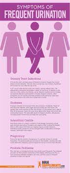 Frequent Urination Symptoms Causes Treatment Bulksupplements Com