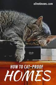 How To Cat Proof Your Home Oliveknows Cat Proof How To Cat Cat Training