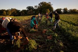 Image result for tbn:0PJB32OL7JwfOM::farm4.static.flickr.com/3324/3329876139_f2d551139f.jpg