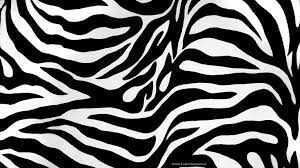 Zebra Print Google Search Zebra Print Wallpaper Zebra Wallpaper Animal Print Background