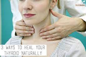 3 Ways To Heal Your Thyroid Naturally Treatingthyroidnaturally Hypothyroidism Thyroid Thyroid Disease