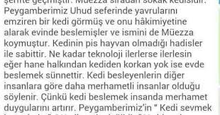 Instagram Engelli Issiz Adam Kedi Islam Hayvan