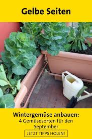 Gartenarbeit Tipps Gartenarbeit Lustig Gartenarbeit Fa R Anfa Nger Gartenarbeit A Gartenarbeit August In 2020 Gartenarbeit Wintergemuse Anbauen Gartenarbeit Im Marz