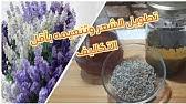 للاستفسار او الطلب المرجو الاتصال عبر الواتساب على الرقم زهر البابونج المجفف. ØºØ³ÙˆÙ„ Ø§Ù„Ù…ØºØ±Ø¨ÙŠØ§Øª Ù„Ù„Ù…Ù†Ø·Ù‚Ø© Ø§Ù„Ø­Ø³Ø§Ø³Ø© Youtube