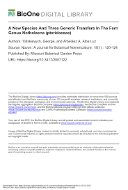 Image result for Aleuritopteris welwitschii