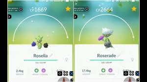 If you still haven't made the decision on whether or not you plan on. Roselia Is Featured Monster For Pokemon Go February 2021 Community Day